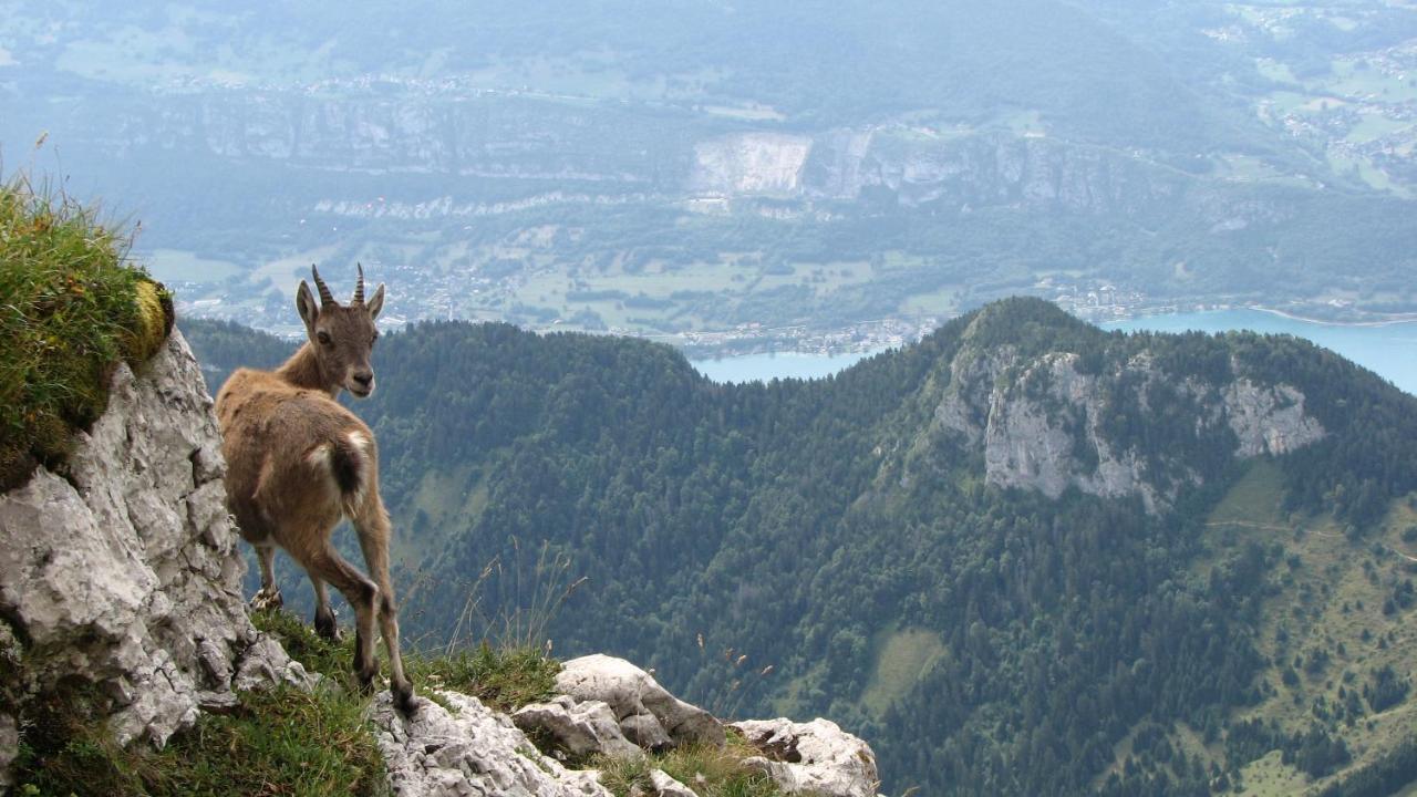 Escale Du Chateau De Promery 1389 Annecy Bagian luar foto